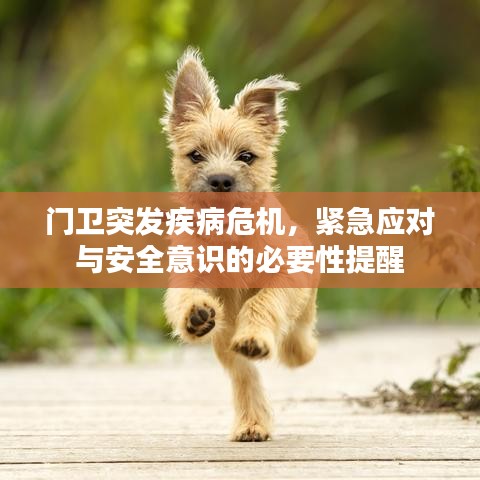 门卫突发疾病危机，紧急应对与安全意识的必要性提醒