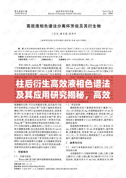 柱后衍生高效液相色谱法及其应用研究揭秘，高效分离与精准检测的新境界