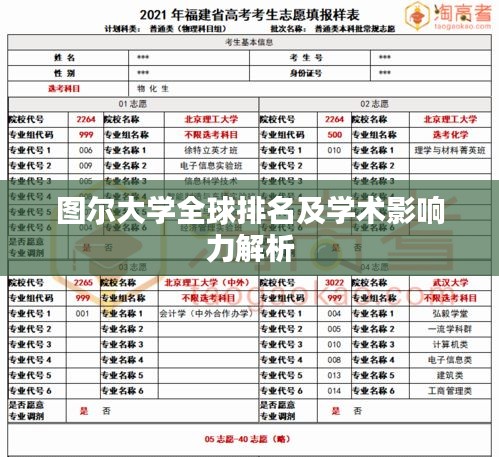 图尔大学全球排名及学术影响力解析