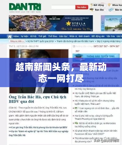 越南新闻头条，最新动态一网打尽
