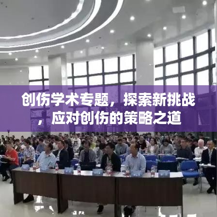 创伤学术专题，探索新挑战，应对创伤的策略之道