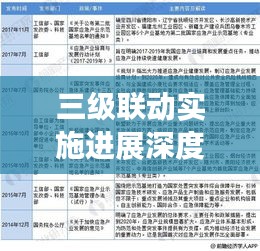 三级联动实施进展深度报告，成果、问题与前景展望