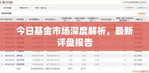 今日基金市场深度解析，最新评盘报告