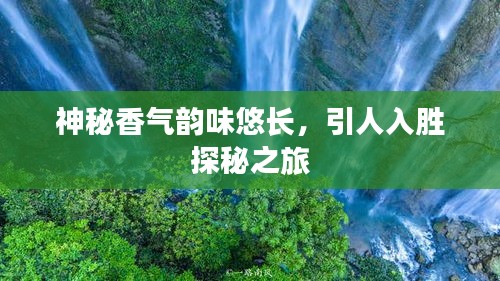 神秘香气韵味悠长，引人入胜探秘之旅