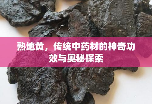 熟地黄，传统中药材的神奇功效与奥秘探索