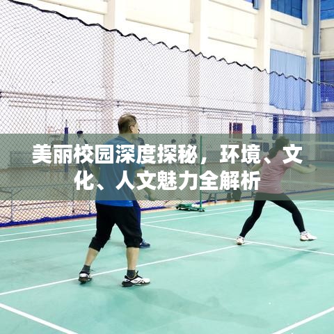 美丽校园深度探秘，环境、文化、人文魅力全解析