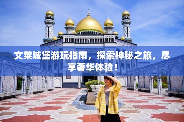 文莱城堡游玩指南，探索神秘之旅，尽享奢华体验！