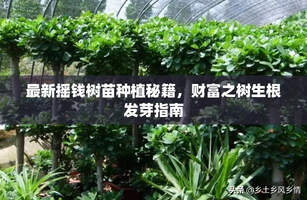 最新摇钱树苗种植秘籍，财富之树生根发芽指南