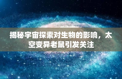 揭秘宇宙探索对生物的影响，太空变异老鼠引发关注