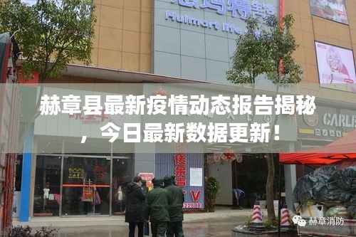 赫章县最新疫情动态报告揭秘，今日最新数据更新！
