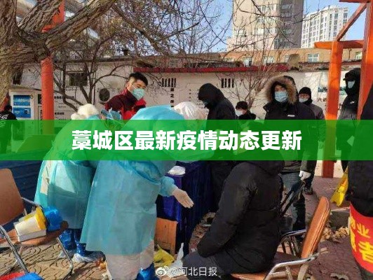 藁城区最新疫情动态更新