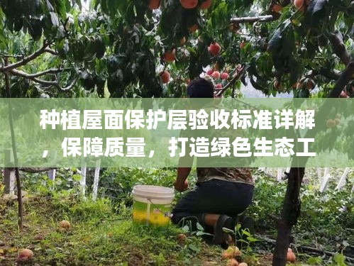 种植屋面保护层验收标准详解，保障质量，打造绿色生态工程