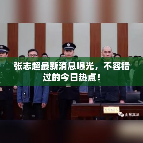 张志超最新消息曝光，不容错过的今日热点！