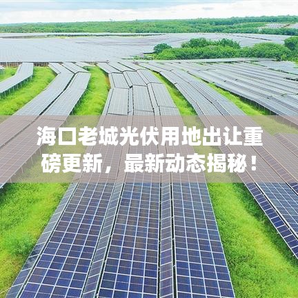 海口老城光伏用地出让重磅更新，最新动态揭秘！