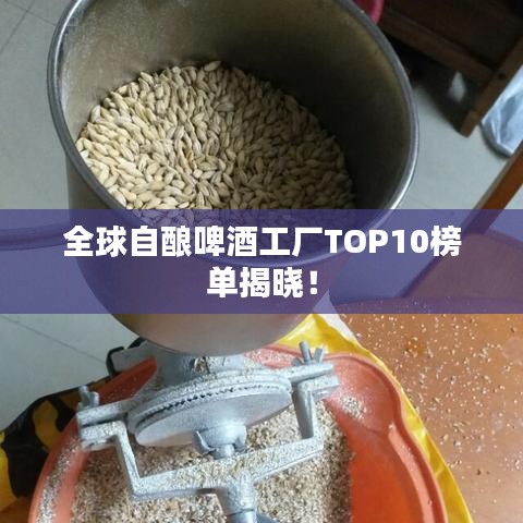 全球自酿啤酒工厂TOP10榜单揭晓！