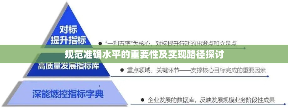 规范准确水平的重要性及实现路径探讨