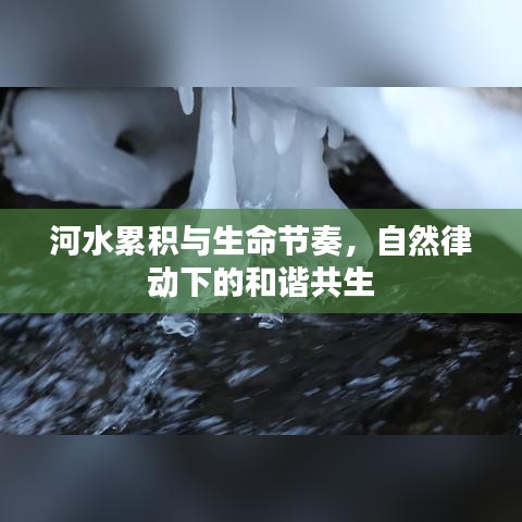 河水累积与生命节奏，自然律动下的和谐共生