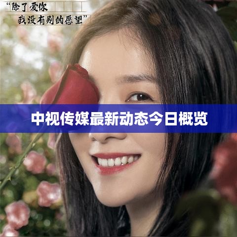 中视传媒最新动态今日概览