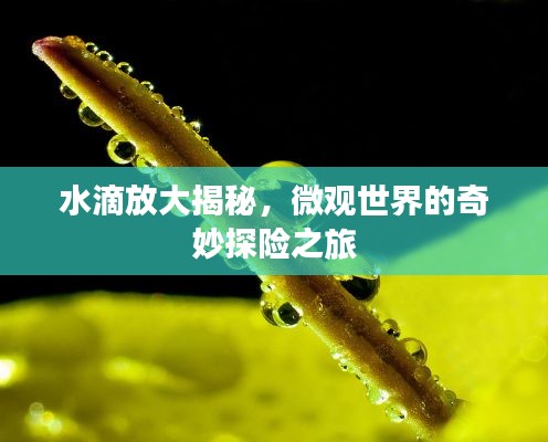 飞天遁地 第2页