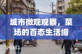 城市微观观察，菜场的百态生活缩影