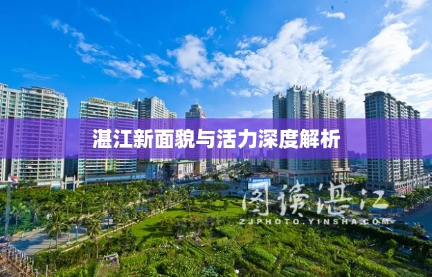 湛江新面貌与活力深度解析