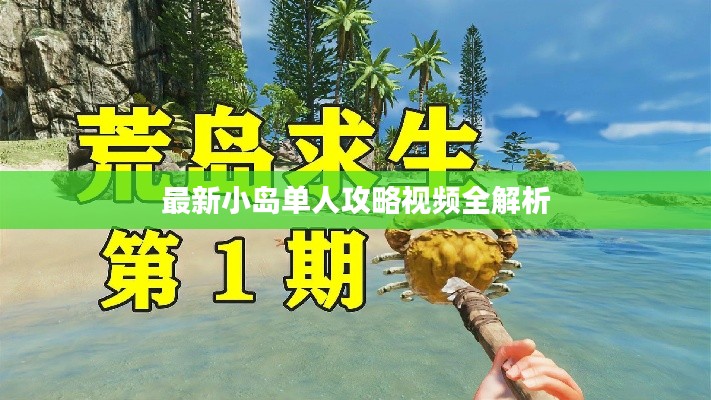 最新小岛单人攻略视频全解析
