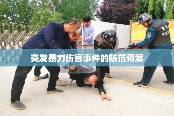 突发暴力伤害事件的防范预案