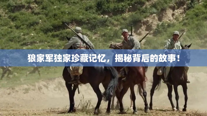 狼家军独家珍藏记忆，揭秘背后的故事！