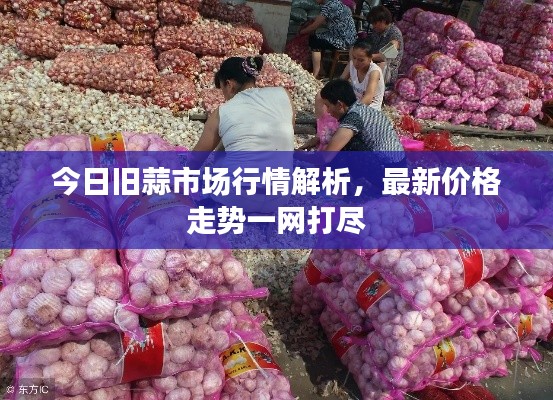产品中心 第35页