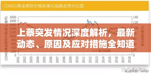 上蔡突发情况深度解析，最新动态、原因及应对措施全知道