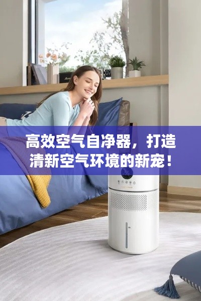 高效空气自净器，打造清新空气环境的新宠！