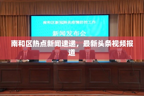 南和区热点新闻速递，最新头条视频报道