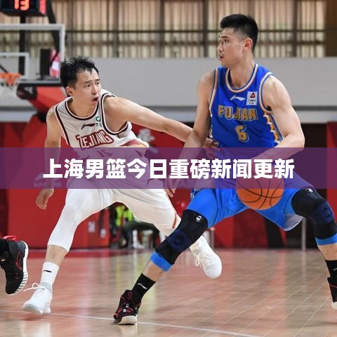 上海男篮今日重磅新闻更新