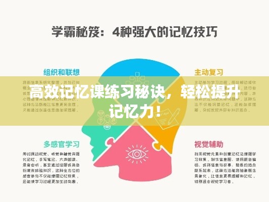 高效记忆课练习秘诀，轻松提升记忆力！