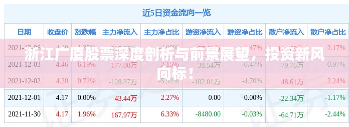 浙江广厦股票深度剖析与前景展望，投资新风向标！