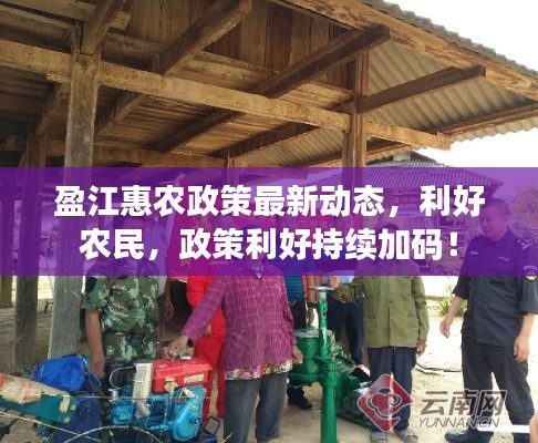 盈江惠农政策最新动态，利好农民，政策利好持续加码！