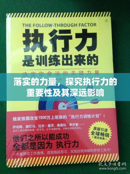 落实的力量，探究执行力的重要性及其深远影响