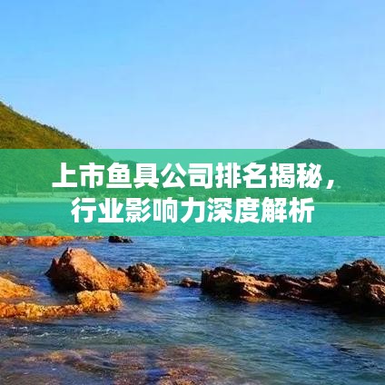 上市鱼具公司排名揭秘，行业影响力深度解析