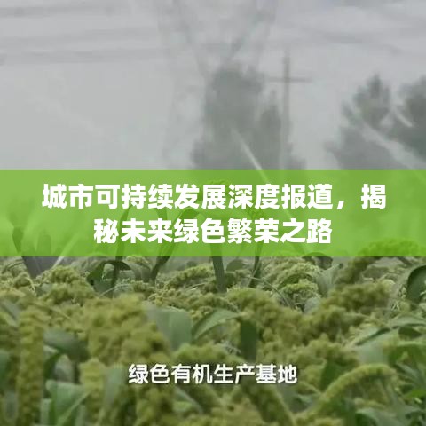 城市可持续发展深度报道，揭秘未来绿色繁荣之路