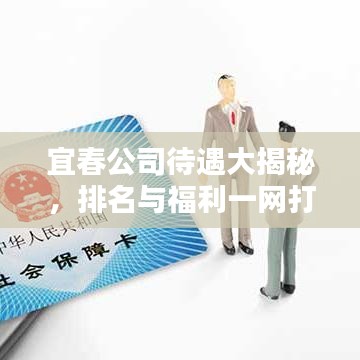 宜春公司待遇大揭秘，排名与福利一网打尽！