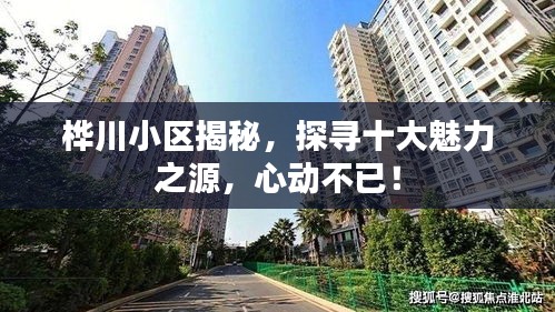 桦川小区揭秘，探寻十大魅力之源，心动不已！