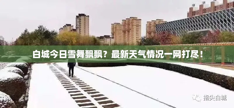 白城今日雪舞飘飘？最新天气情况一网打尽！