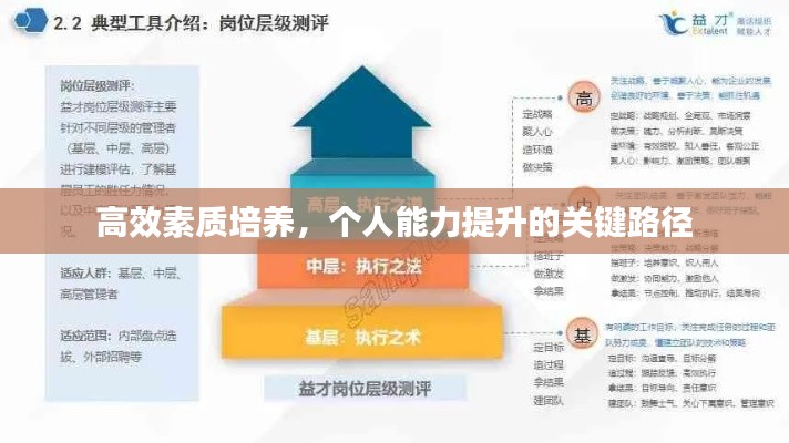 高效素质培养，个人能力提升的关键路径