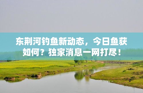 东荆河钓鱼新动态，今日鱼获如何？独家消息一网打尽！