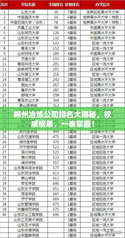 郴州冶炼公司排名大揭秘，权威榜单，一表掌握！