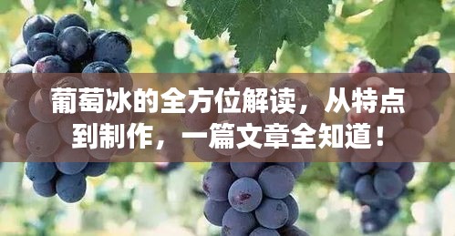 葡萄冰的全方位解读，从特点到制作，一篇文章全知道！