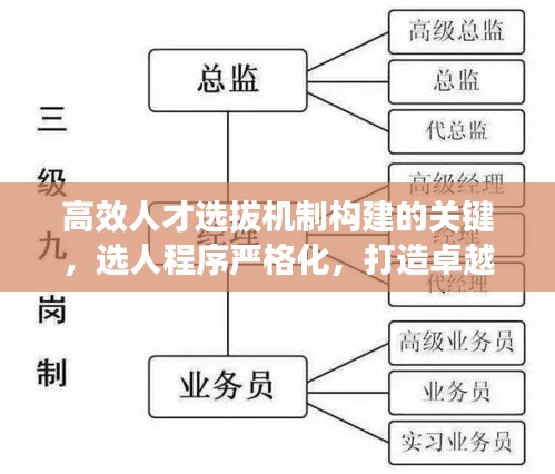 高效人才选拔机制构建的关键，选人程序严格化，打造卓越人才梯队之路