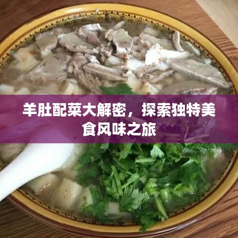 羊肚配菜大解密，探索独特美食风味之旅