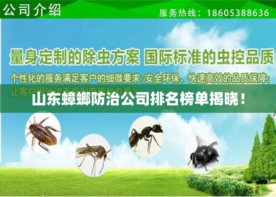 山东蟑螂防治公司排名榜单揭晓！