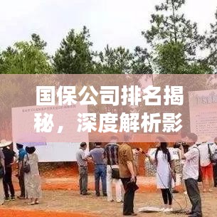 国保公司排名揭秘，深度解析影响力与实力！